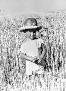 A young child wearing a straw hat stands among tall wheat stalks in a field, showcasing a rural farming scene. The image captures the innocence of childhood in a natural setting, emphasizing agricultural life.